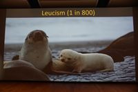 
DSC00200